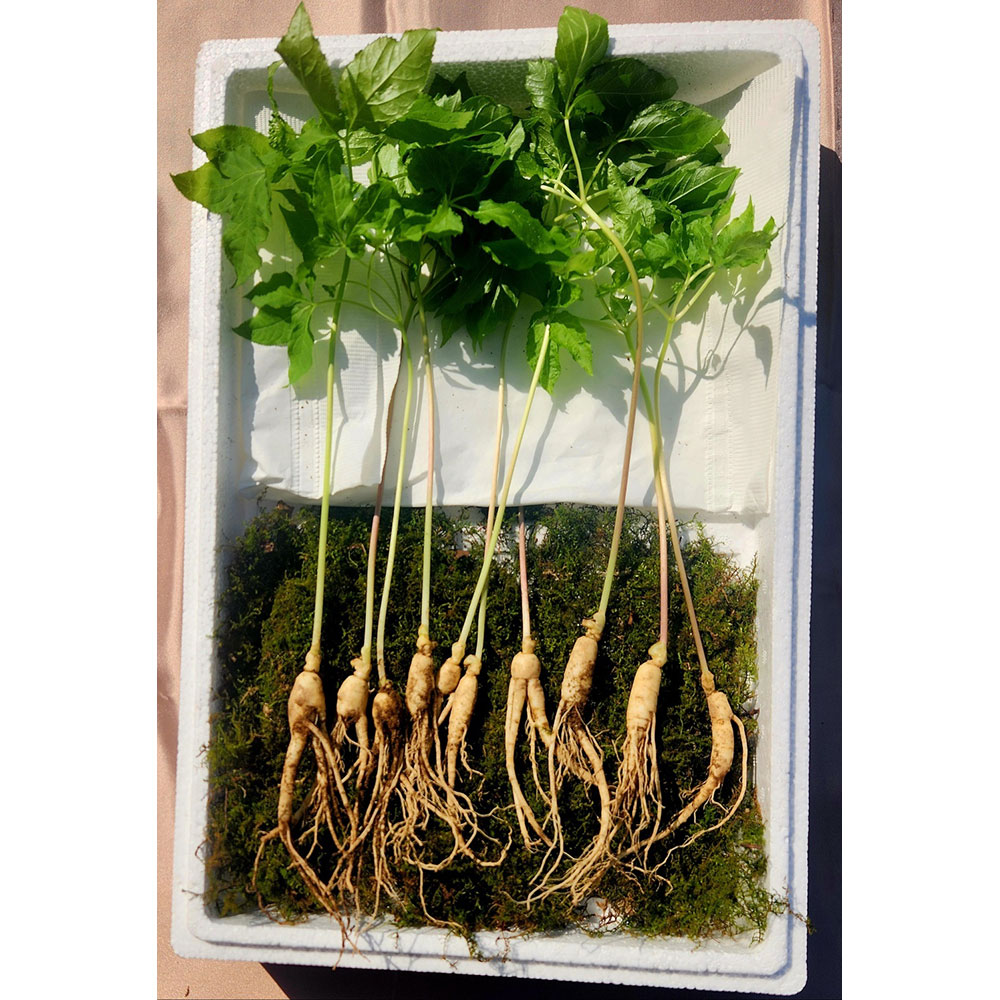 1710303551 thumbnail