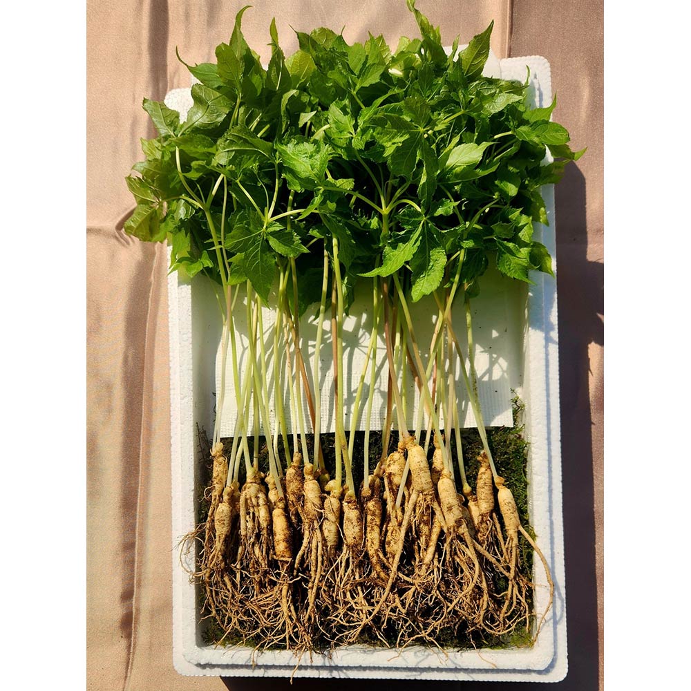 1710303552 thumbnail