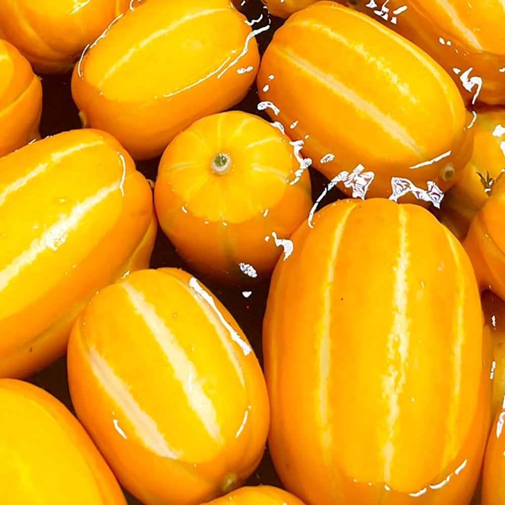 1710308359 thumbnail