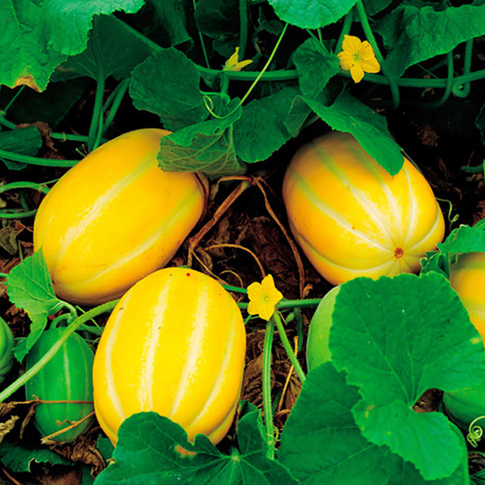 1710308360 thumbnail