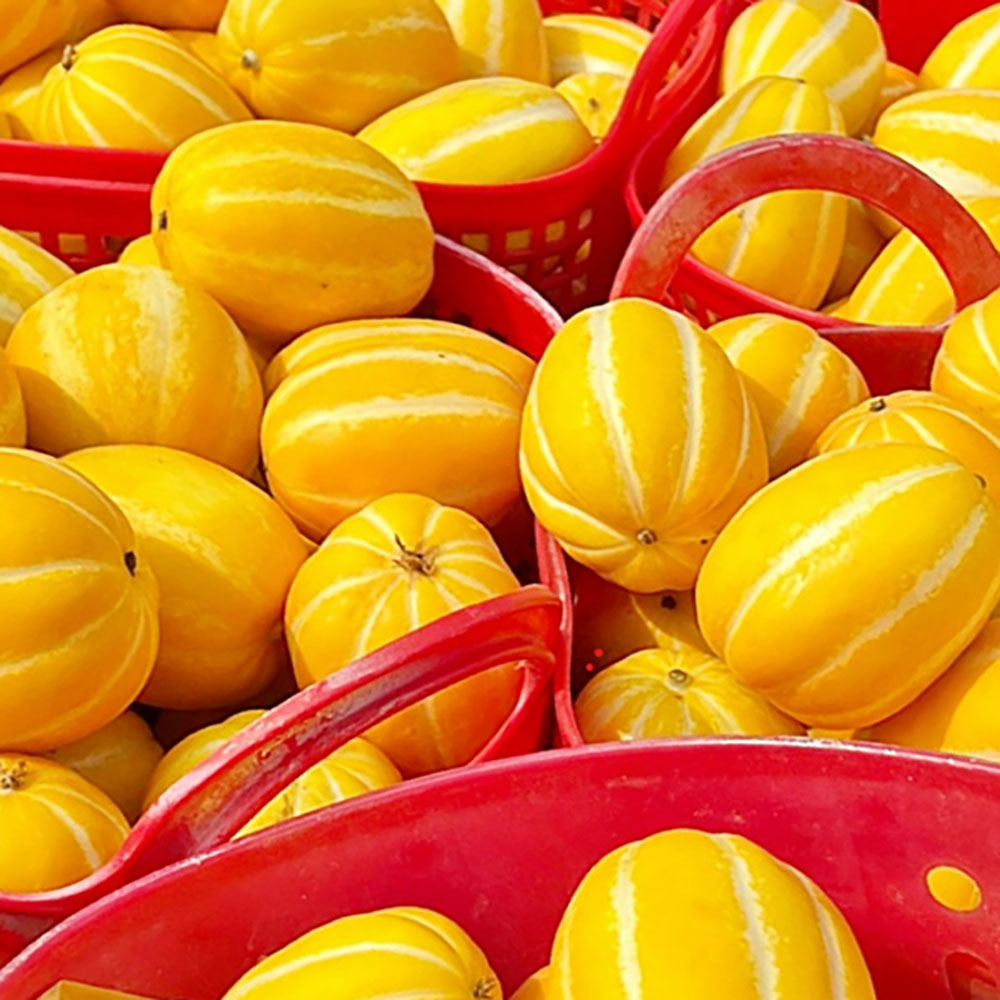 1710308361 thumbnail