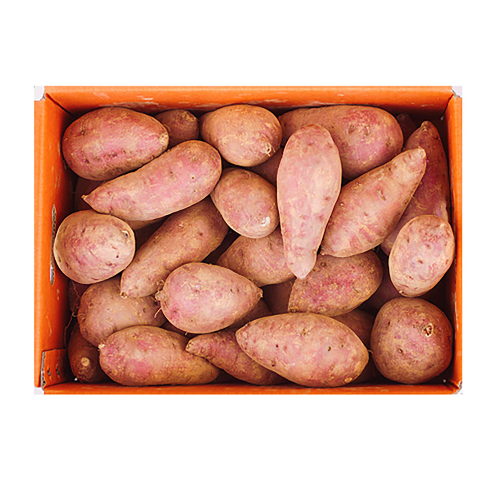 1710741824 thumbnail