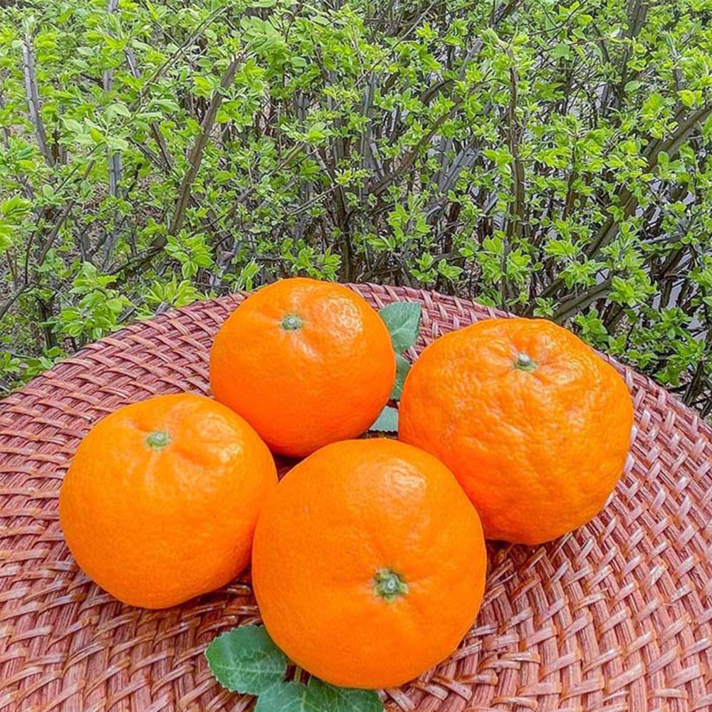 1710918479 thumbnail