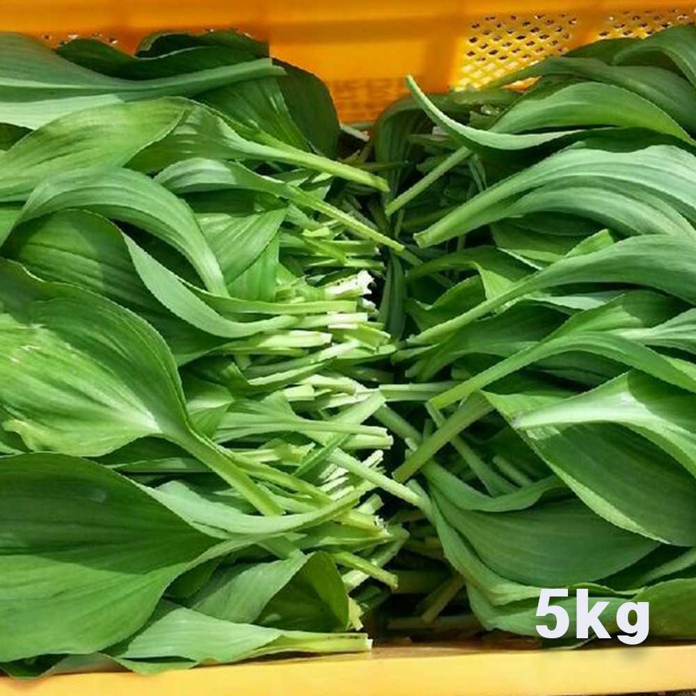 1710925518 thumbnail