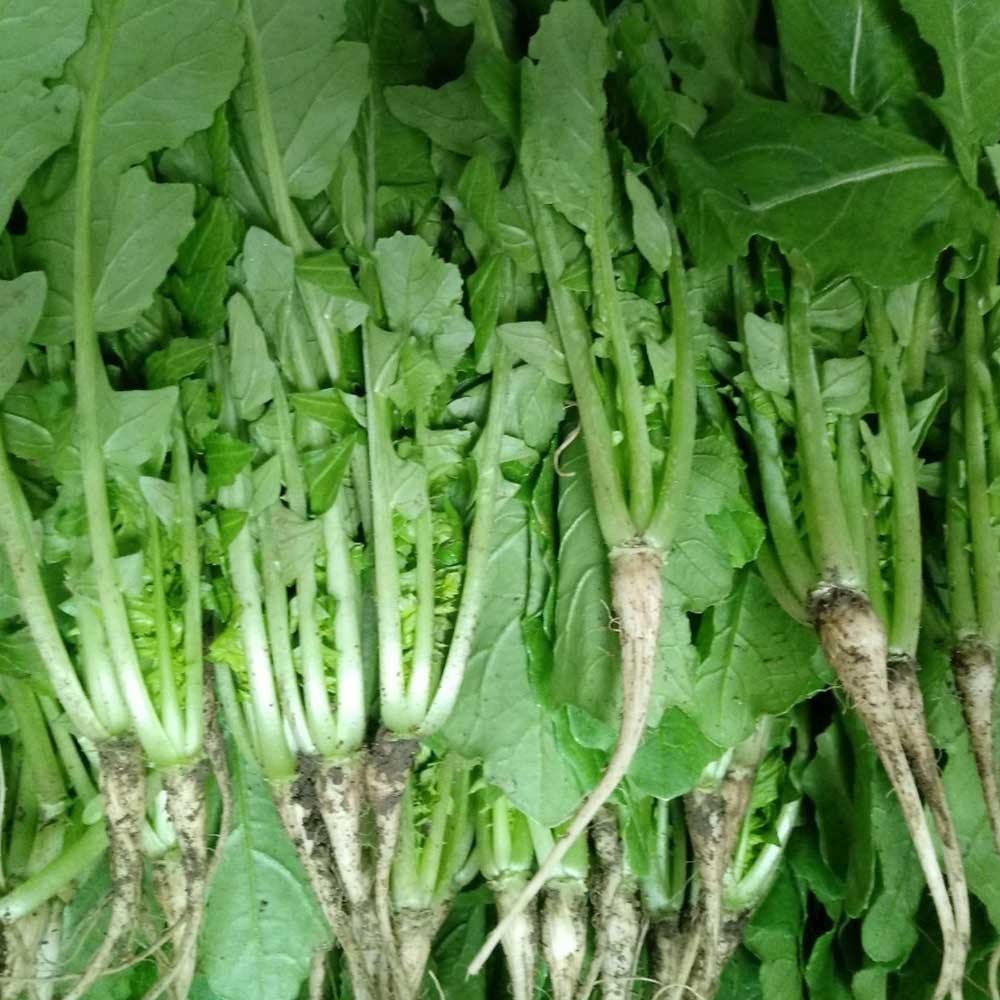 1710925519 thumbnail