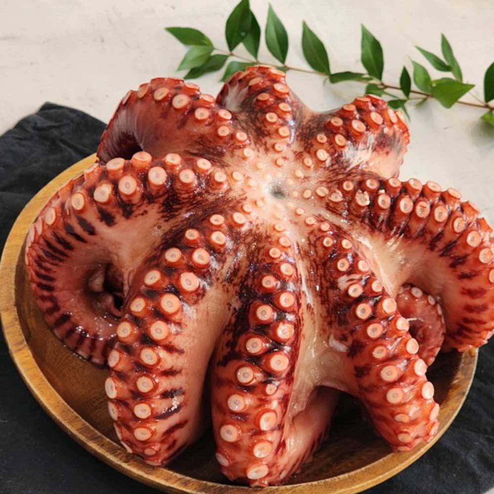 1710925523 thumbnail