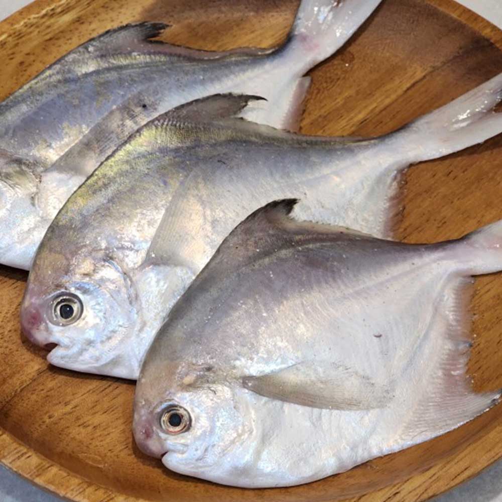 1710925525 thumbnail