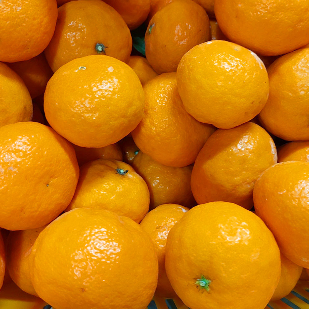 1710998678 thumbnail