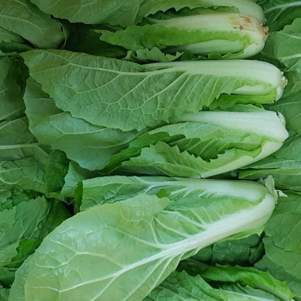 1711103784 thumbnail