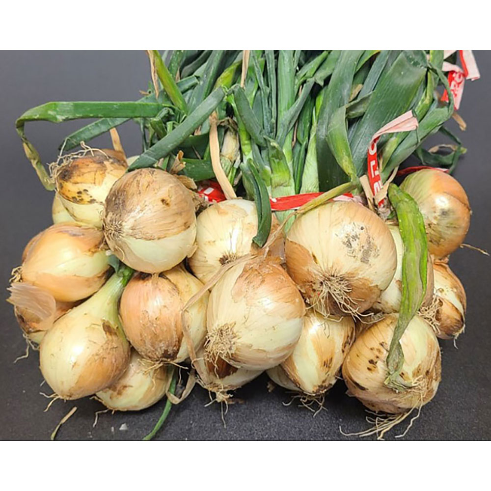 1711427617 thumbnail