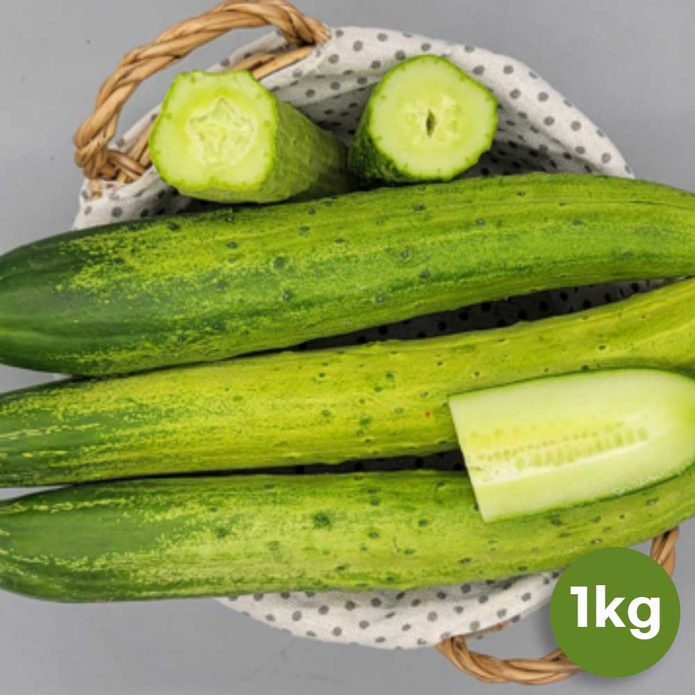 1711431566 thumbnail