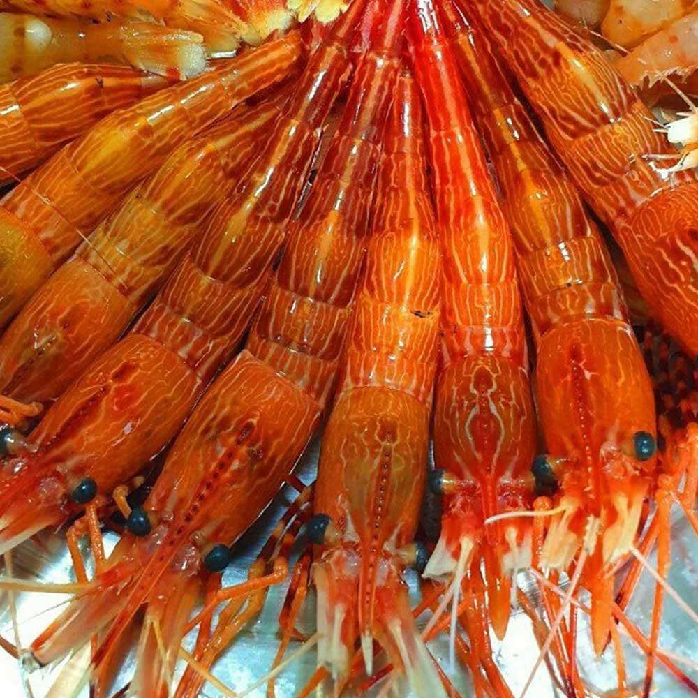 1711445335 thumbnail