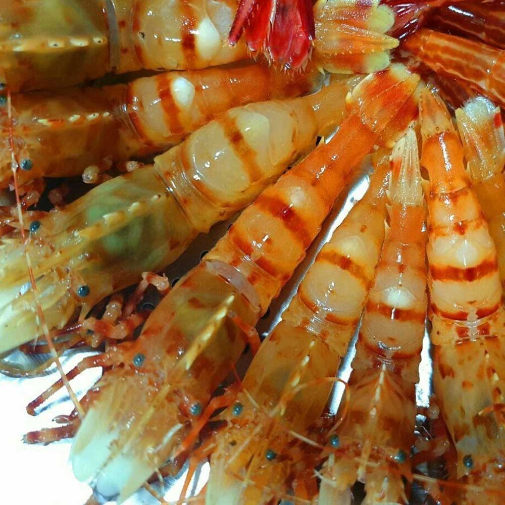 1711445337 thumbnail