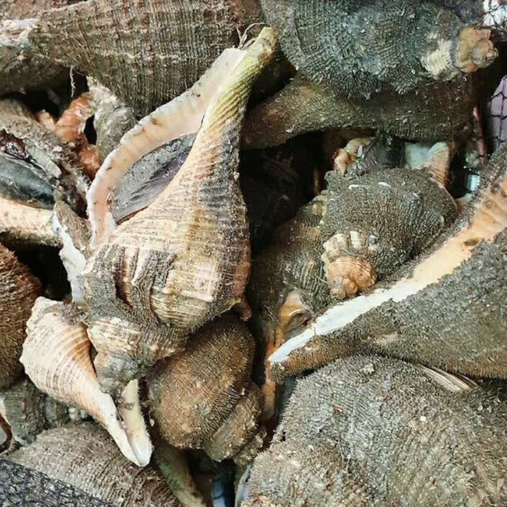 1711445343 thumbnail