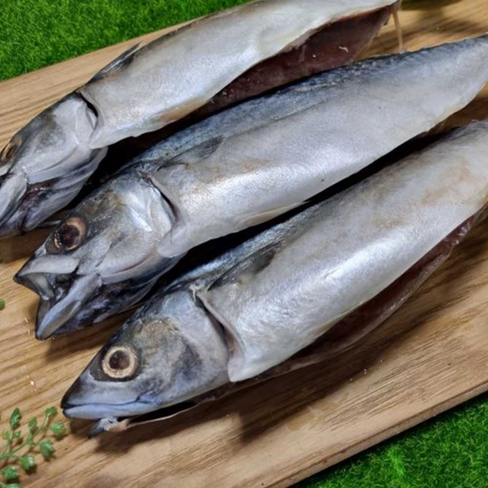 1711612004 thumbnail