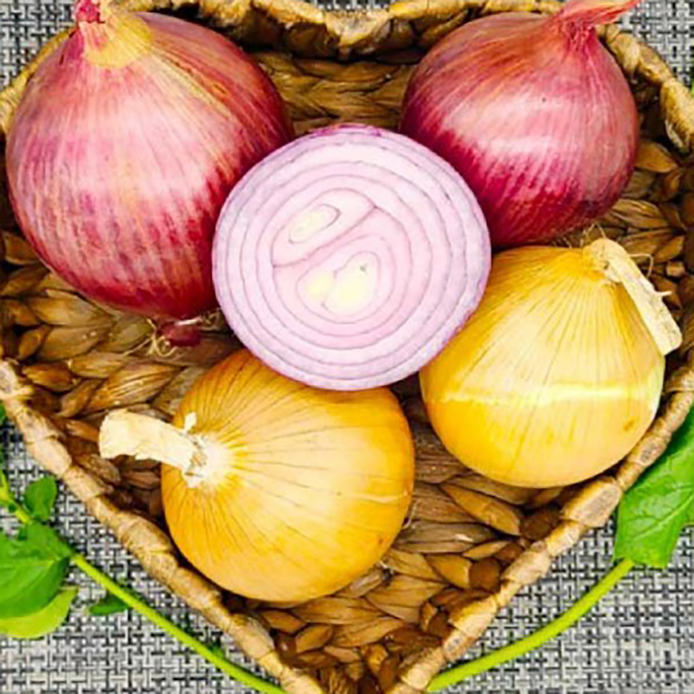 1712035986 thumbnail