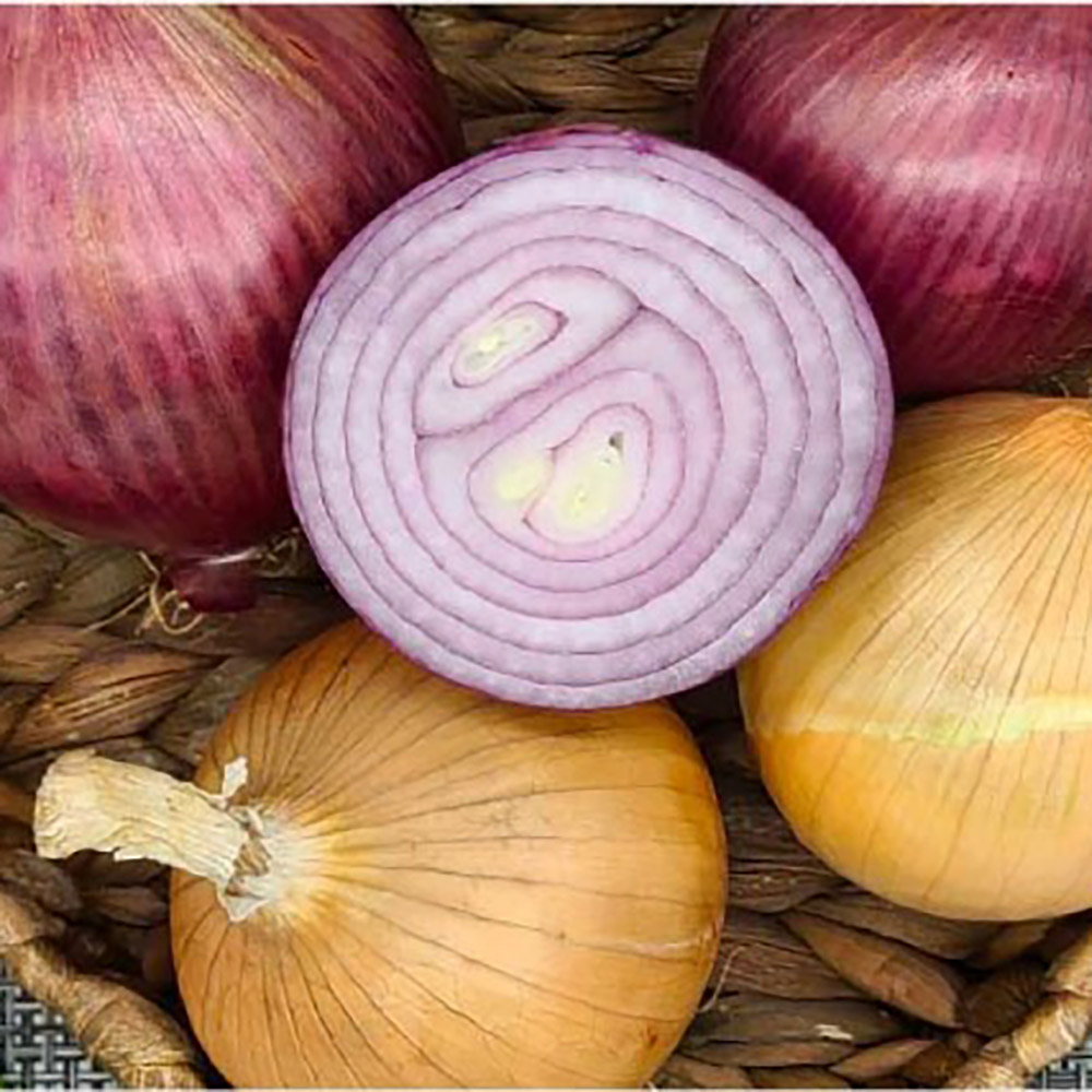 1712035988 thumbnail