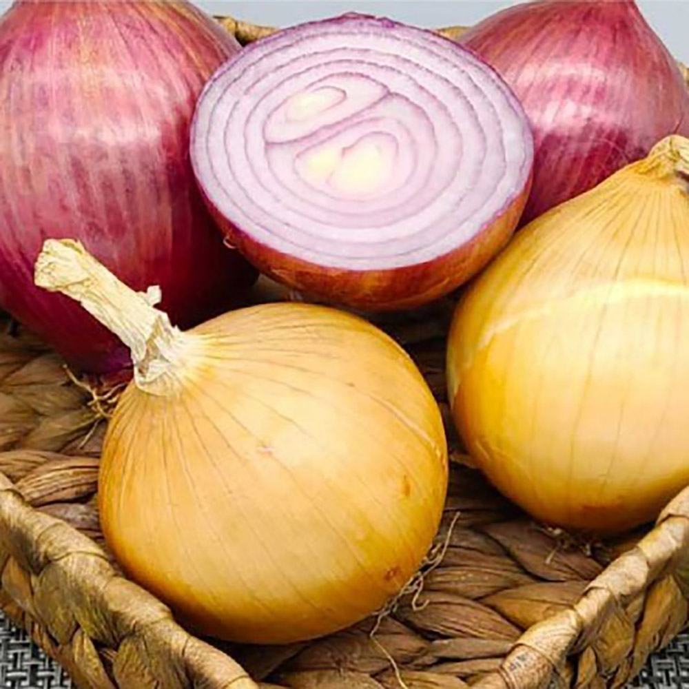 1712035989 thumbnail