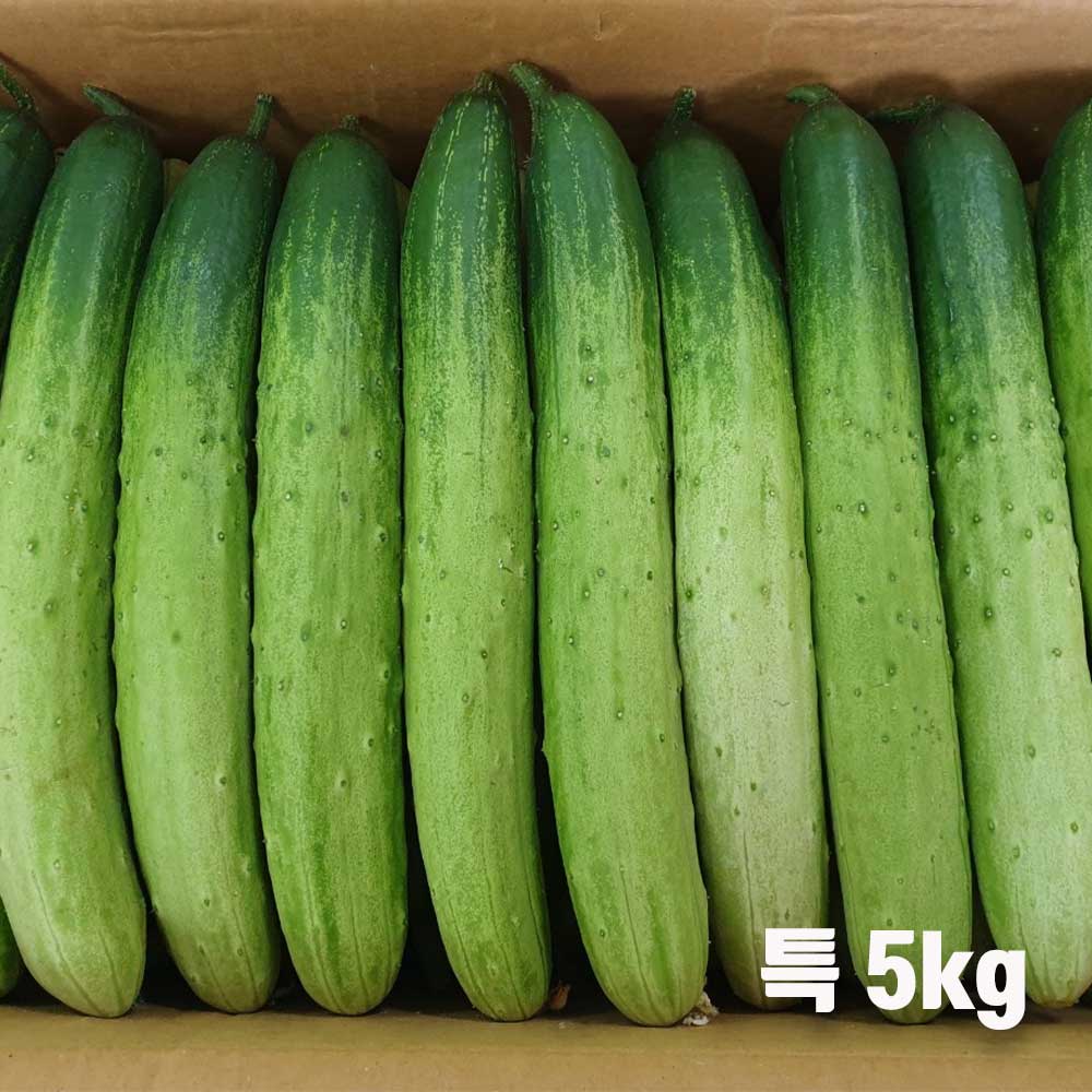 1712039763 thumbnail