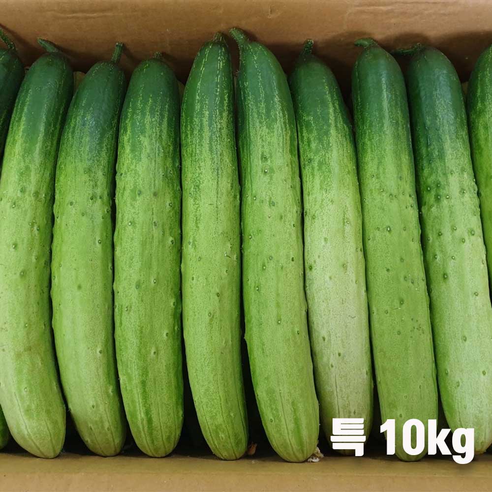 1712039764 thumbnail