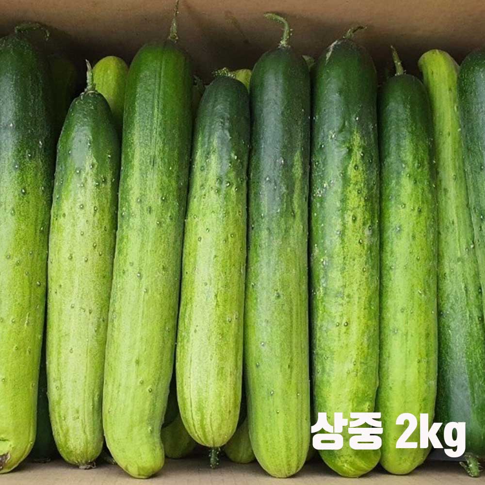 1712039766 thumbnail