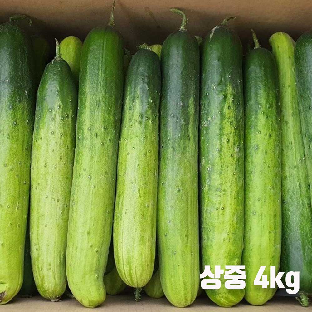 1712039768 thumbnail