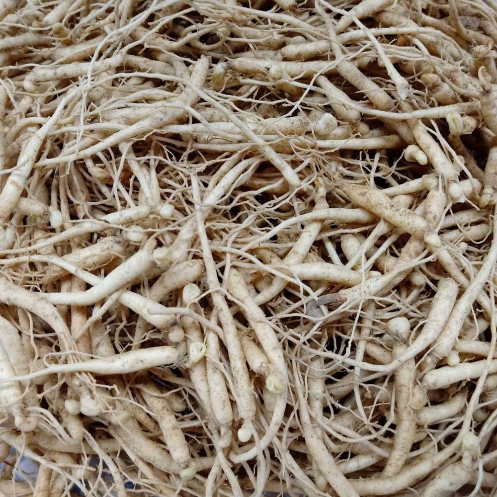 1712039776 thumbnail