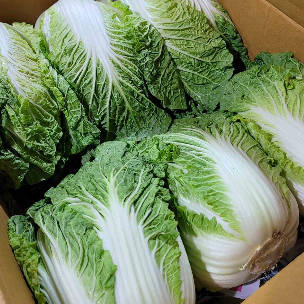 1712039777 thumbnail