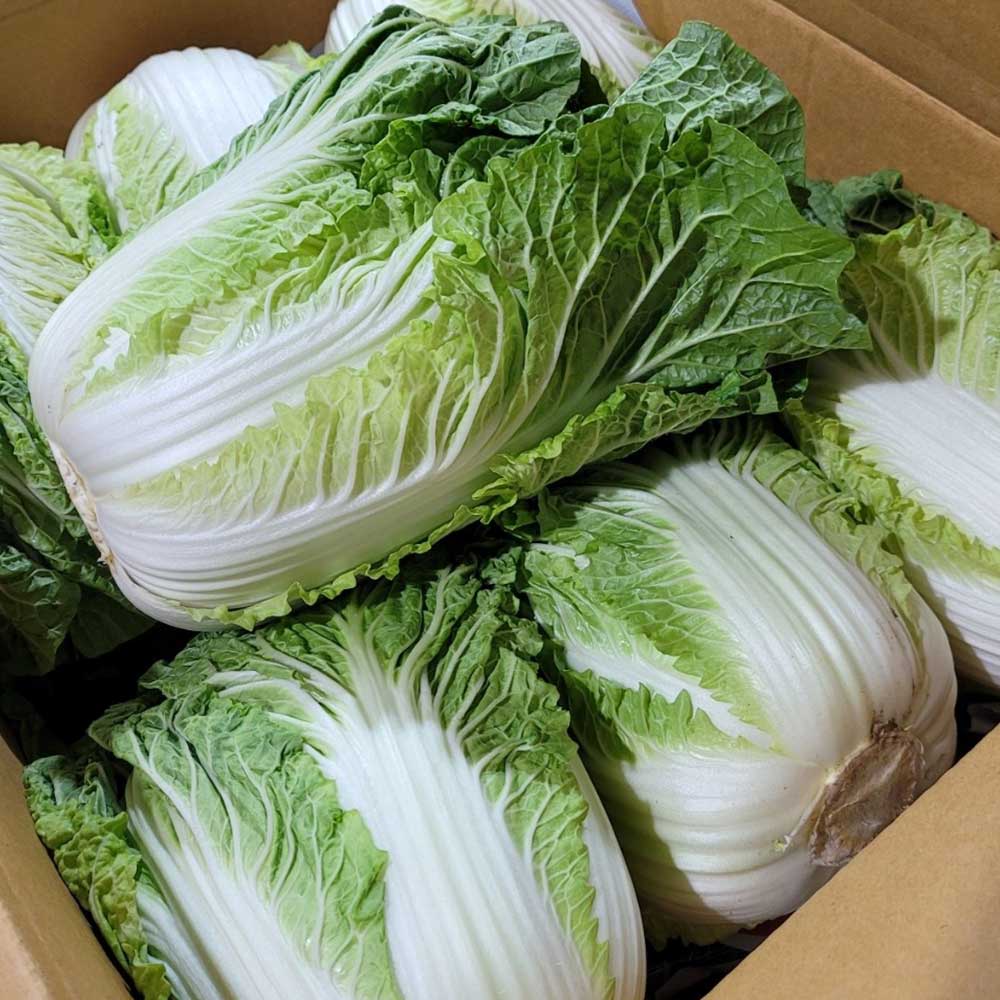 1712039778 thumbnail