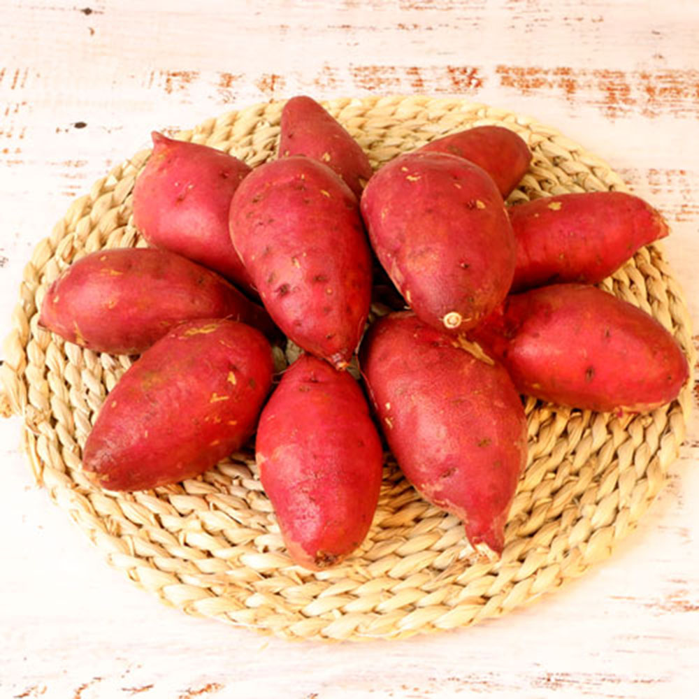 1712042261 thumbnail