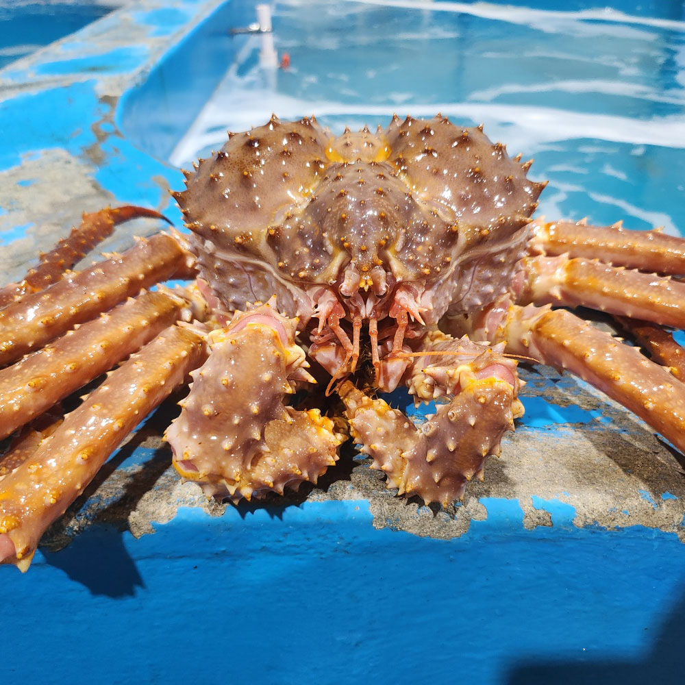 1712044433 thumbnail