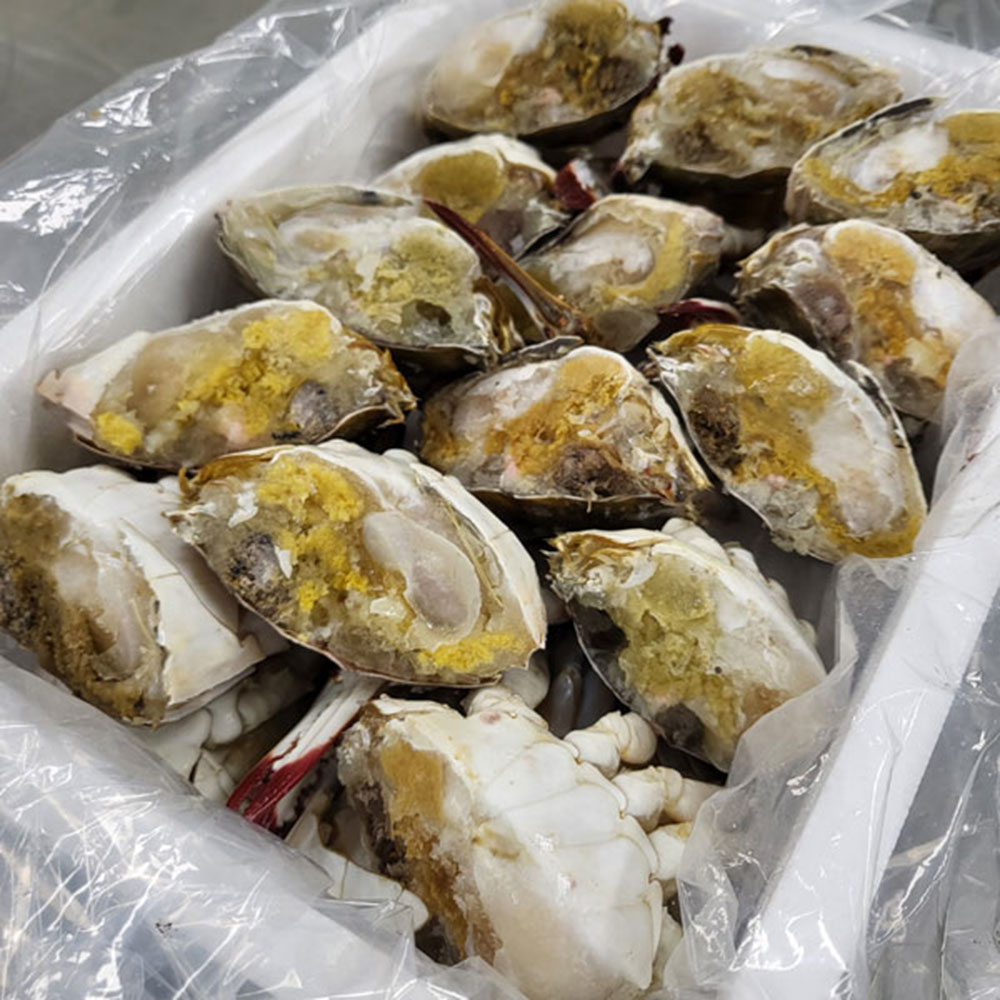 1712044435 thumbnail