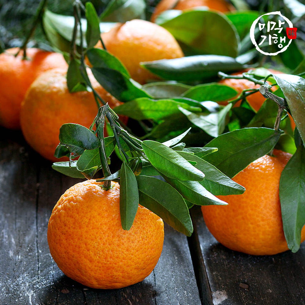 1712296949 thumbnail