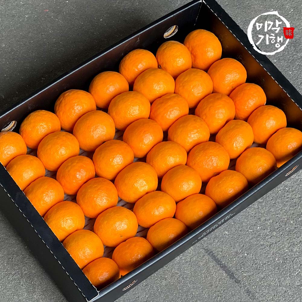 1712296952 thumbnail