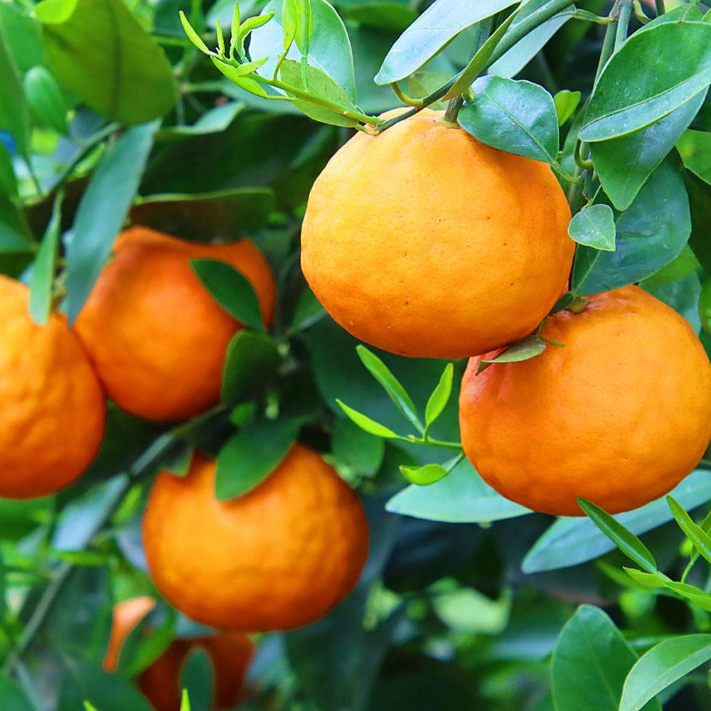 1712562815 thumbnail