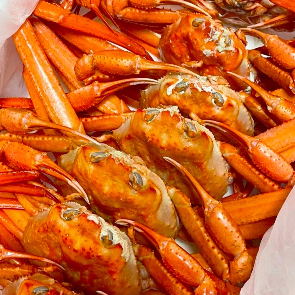 1712648089 thumbnail