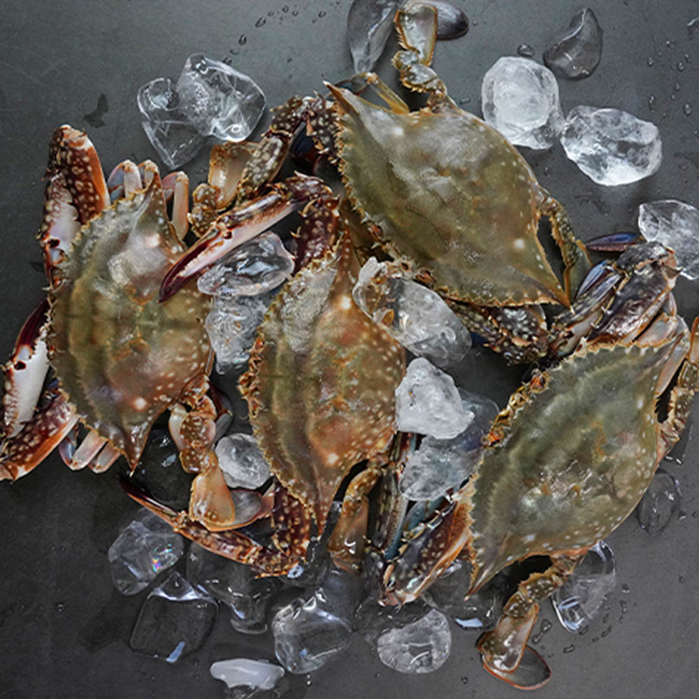 1712648090 thumbnail