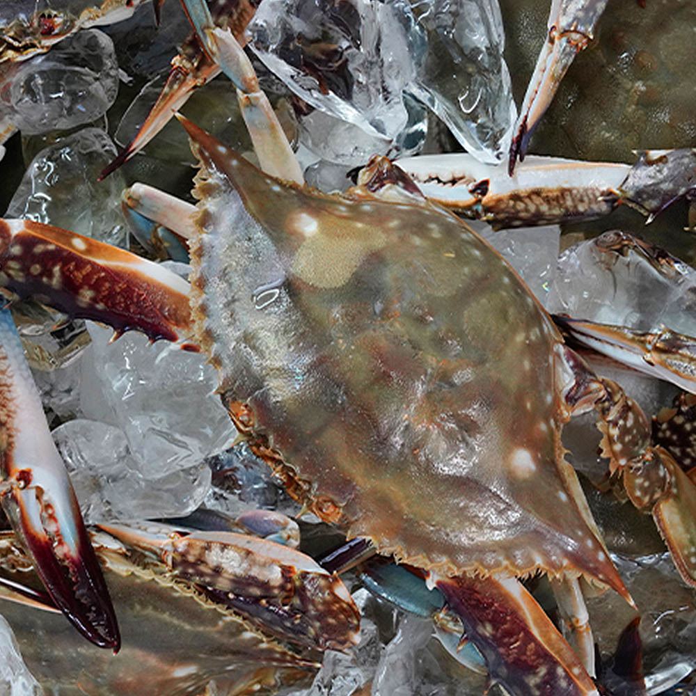 1712648091 thumbnail