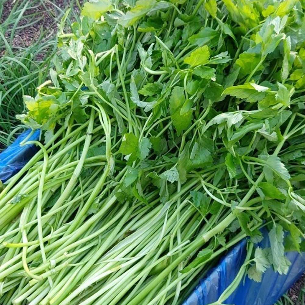 1712825098 thumbnail