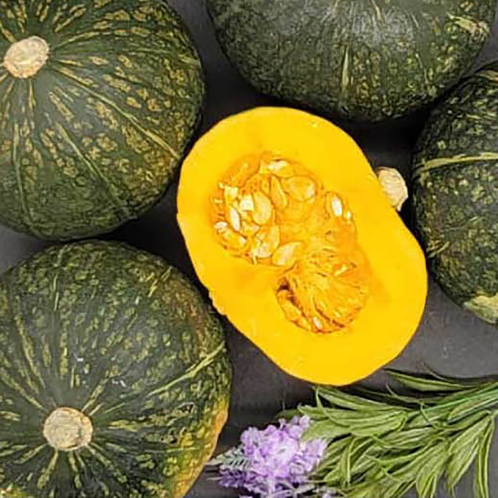 1713253771 thumbnail