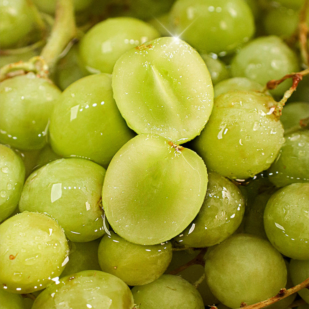 1713341831 thumbnail