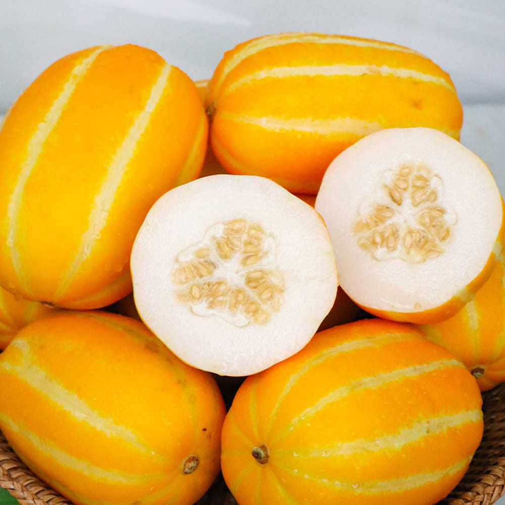 1713341835 thumbnail