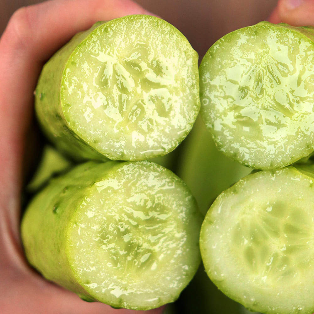 1713341842 thumbnail