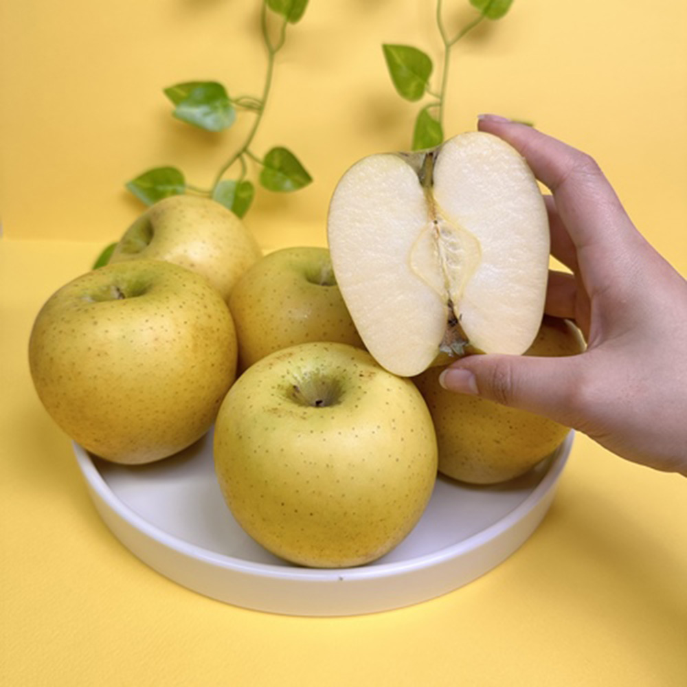 1713341844 thumbnail