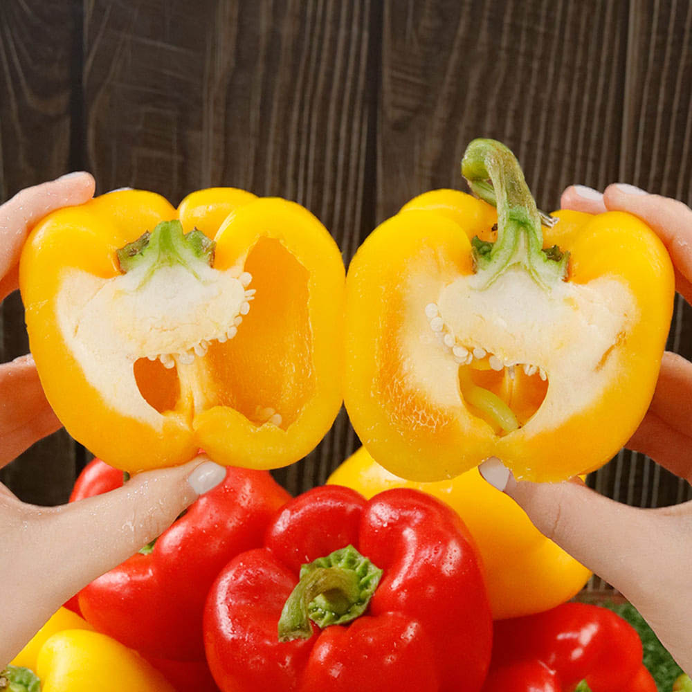 1713851610 thumbnail