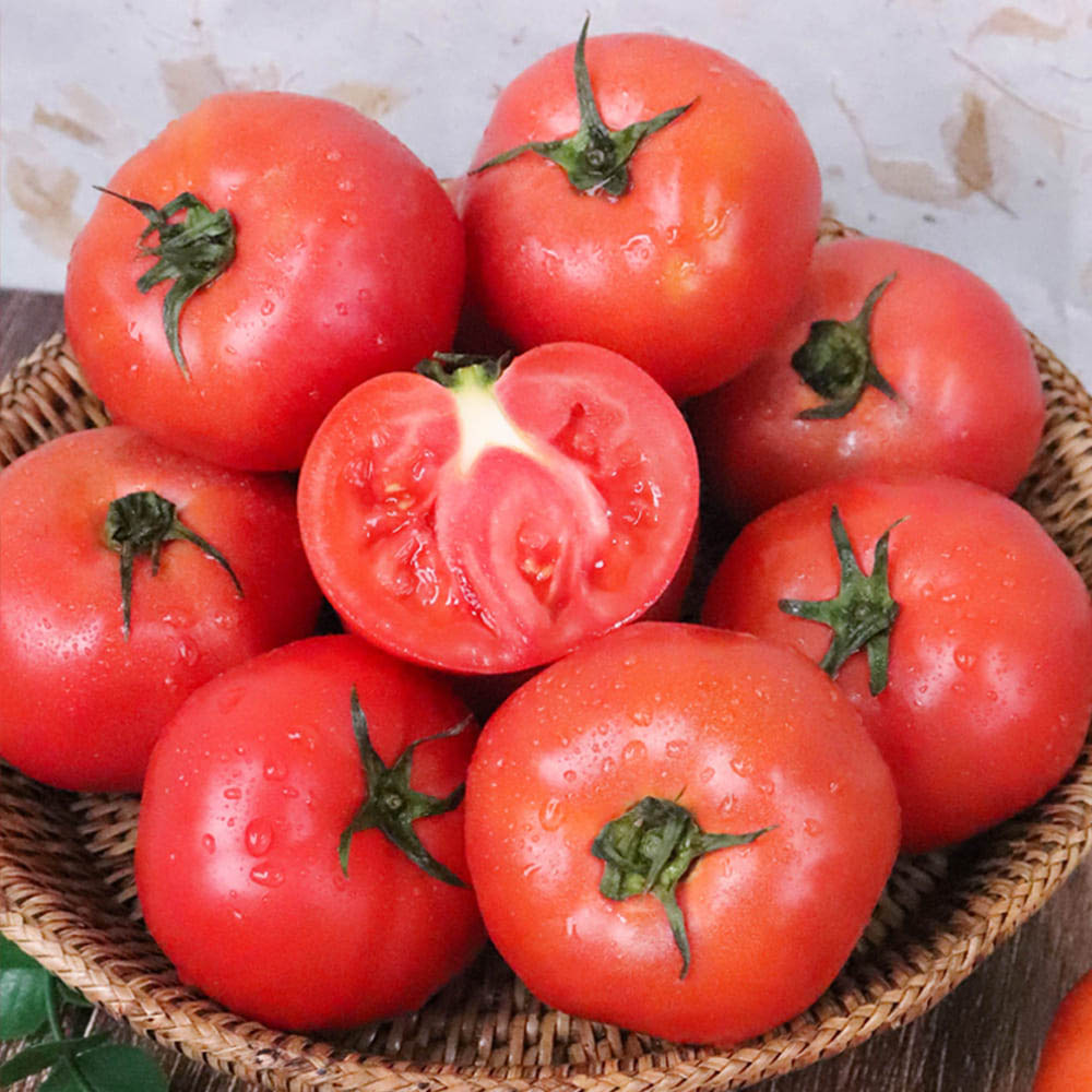 1713851611 thumbnail