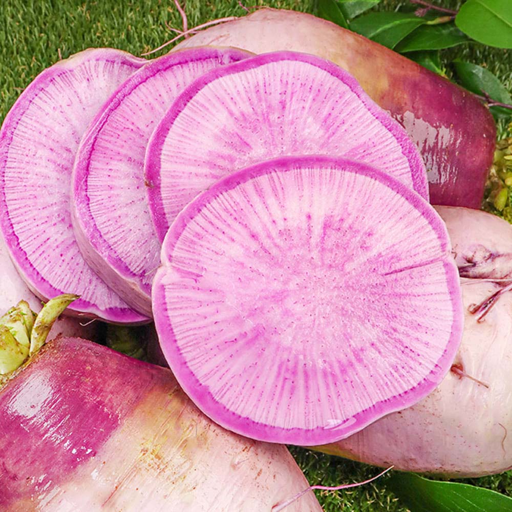 1713851624 thumbnail