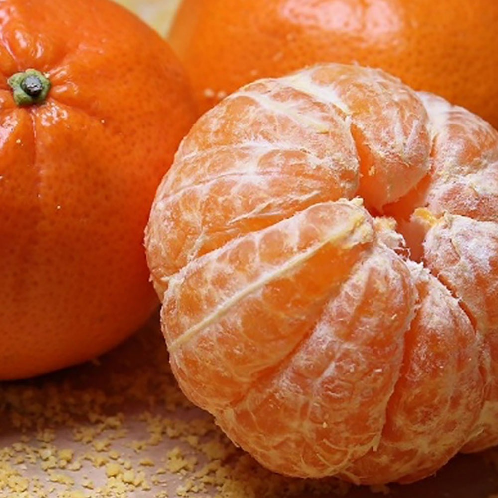 1713853073 thumbnail