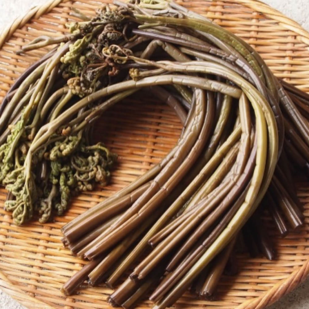 1713853077 thumbnail