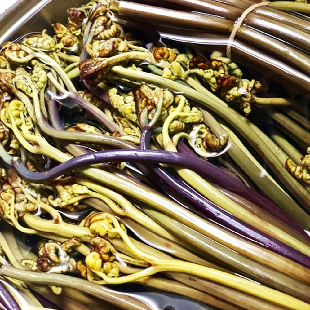 1713853078 thumbnail